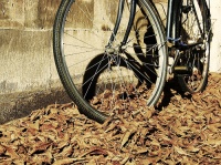 bicycle by JMC Photos