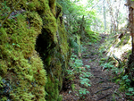 Hiking Trail Pukaskwa National Park by Mark Harris