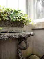 Ivy and Stone by Masha