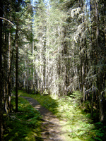Pukaskwa by Mark Harris