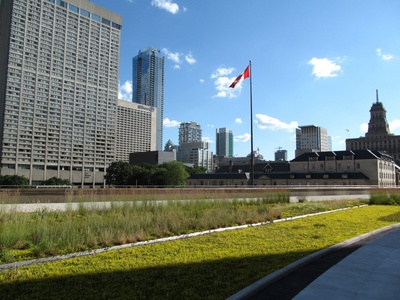 City Hall roof South West view 