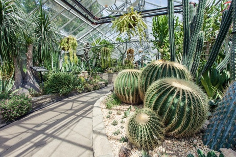 Cactus House Allan Gardens Conservatory