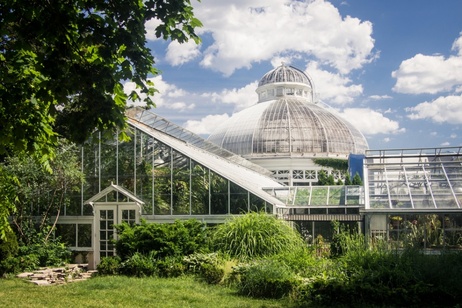 Greenhouse roofs Allan Gardens