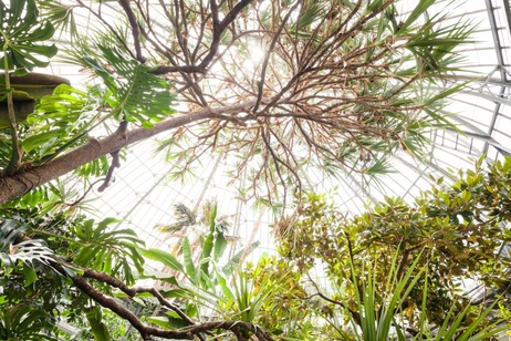 Toronto Botanical Gardens