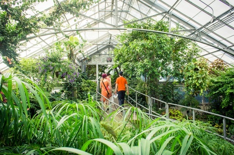 Visitors Allan Gardens Conservatory