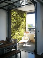 ELT Living Walls