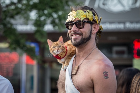 Crazy fashion man in toga