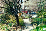 The first community garden