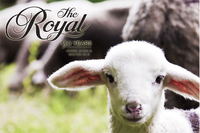 royal winter fair