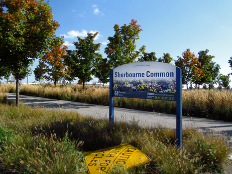 Sherbourne Commov