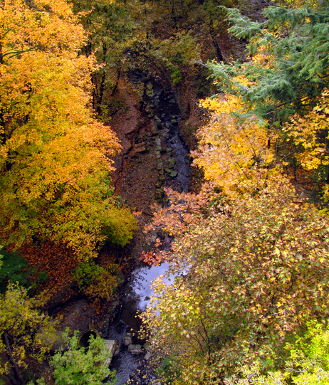 Yellow Creek in the Vale of Avoca