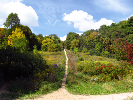 an offshoot of the beltline trail near the Evergreen Brickworks