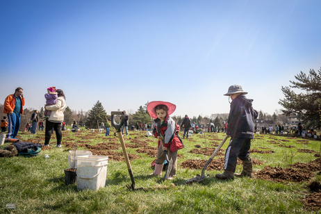 Little girl digging and planting trees