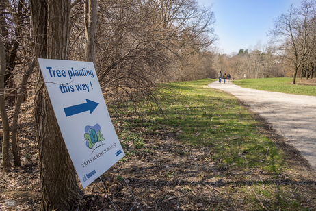 Tree planting this way sign
