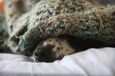 Under the covers by Ginny