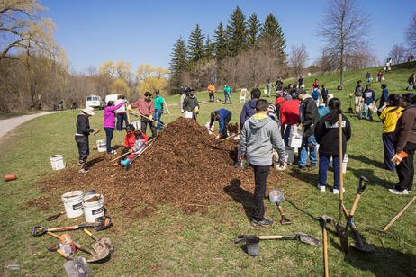 Volunteers of Trees Across Toronto