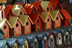 Bird-Houses-by-Andrew-Osterberg