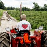 Andrews-Scenic-Acres-Farm-Strawberry-Tractor