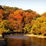 autumn-toronto-by