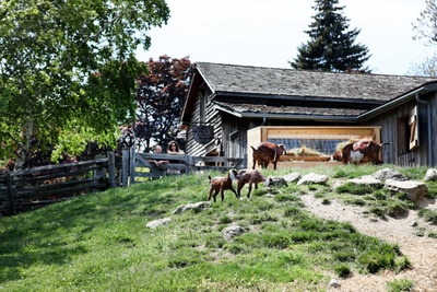 The Riverdale farm