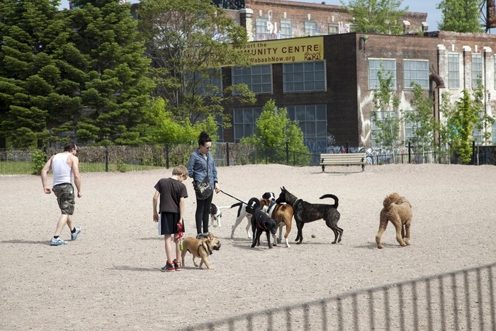 The 'off leash' play area for the dogs