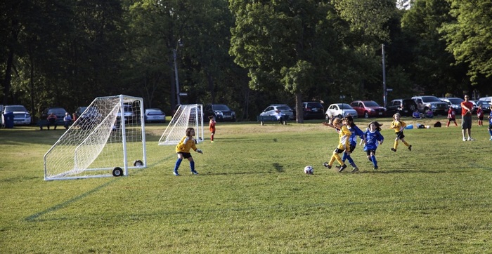 Local leagues compete on the fields of High Park