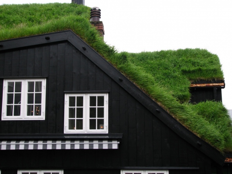 Grass Roof by Julia Velkova