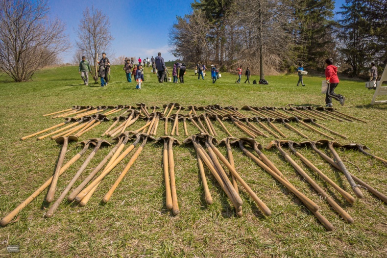 Shovels ready for Trees Across Toronto