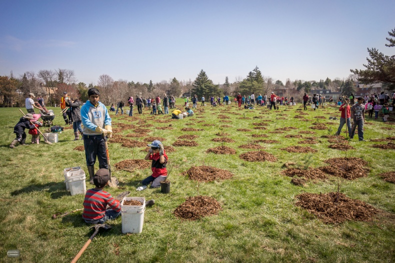 Volunteers planting new trees in Milliken Park