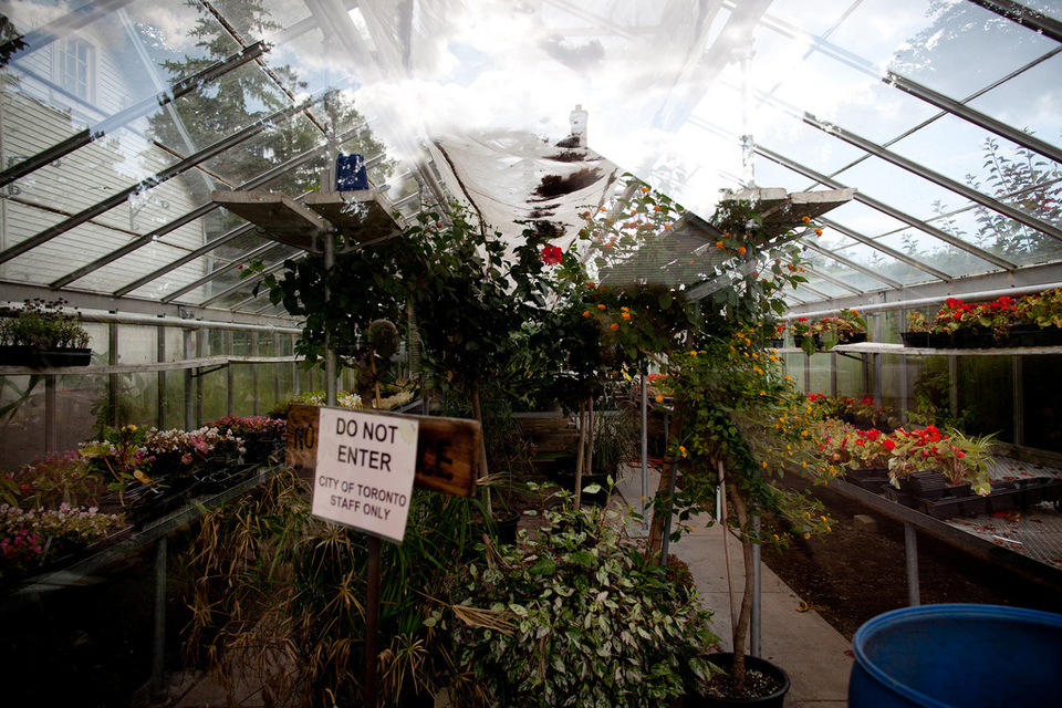 Christie Brinkleys Palatial Greenhouse Looks Like It