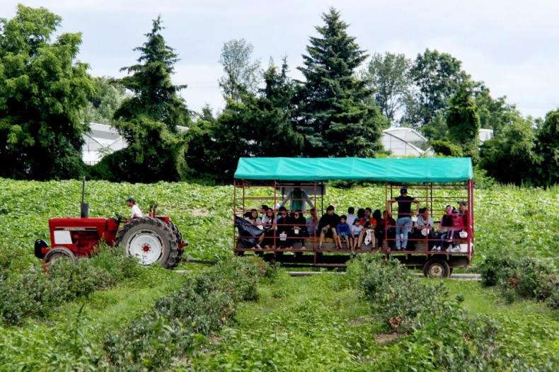 Andrews Scenic Acres Farm Tours