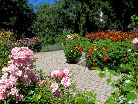 rosetta gardens 10